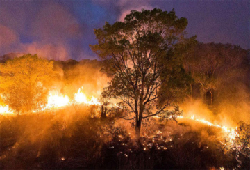 Mais de 50 cidades têm a situação de emergência reconhecida em MT