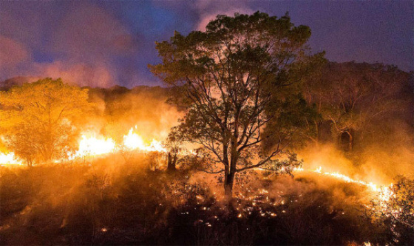 Mais de 50 cidades têm a situação de emergência reconhecida em MT